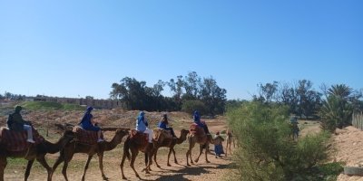 Shore Excursions