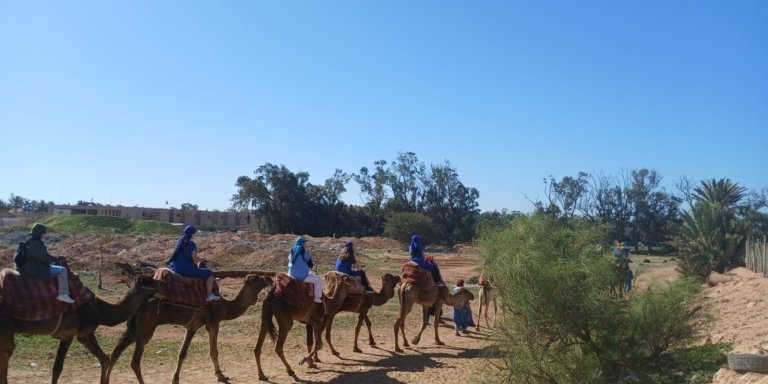 Camel Ride Agadir - Sunset Tour from a ranch