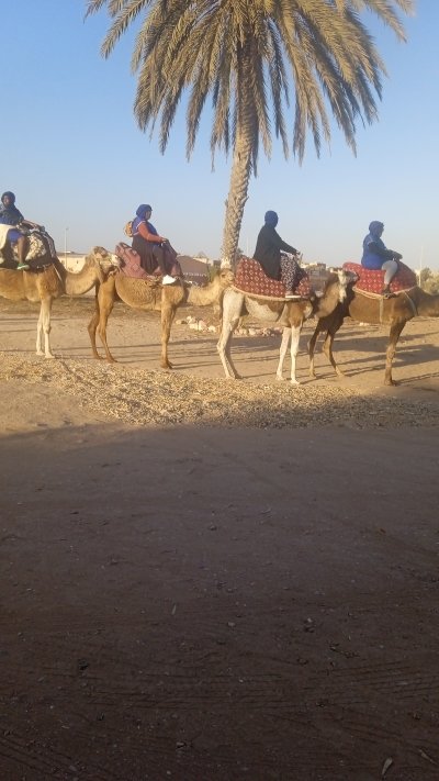 Camel Ride Agadir - Sunset Tour from a ranch
