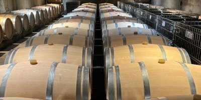 Discovering Saint Emilion, the heart of the famous Bordeaux region