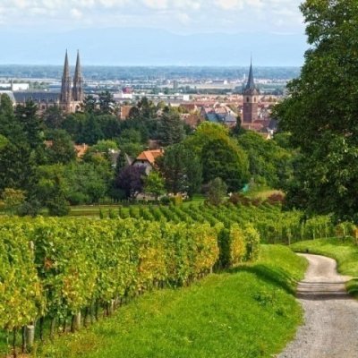 Excursion in Alsace