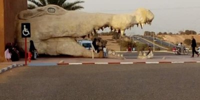 Amusement Park Tickets