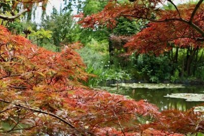 Private Giverny, Versailles, Trianon Trip from Paris with Lunch