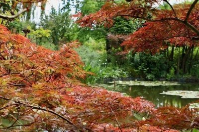 Giverny, Versailles, Trianon Small Group 2 - 7 people from Paris