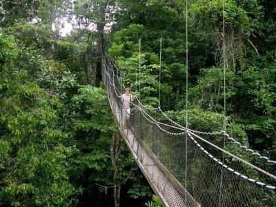 Nyungwe Forest Safari with Chimpanzee Trekking in Rwanda - 3 Days Tour