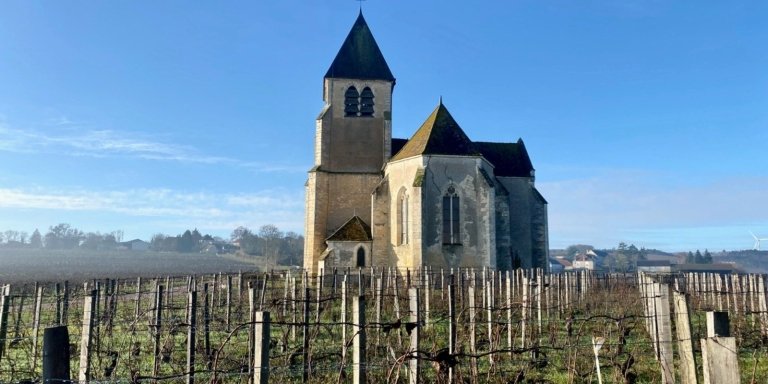 Private Burgundy 3 Domaines Chateau Pommard Chablis 15 Wines Trip from