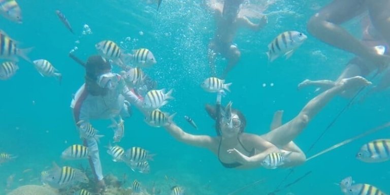 Mangroves & Snorkeling Cartagena - Day tour with Lunch & Open Bar