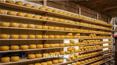 Amsterdam "Golden Age" and Zaanse Schans Daily Walking Tour