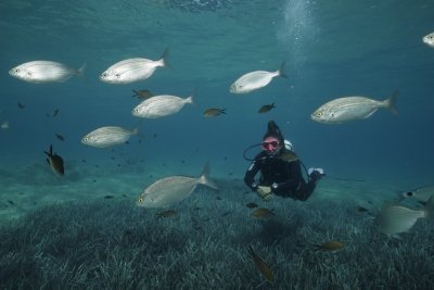 PADI Discover Scuba Diving for Beginners