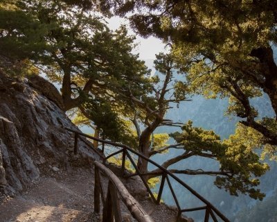 Samaria Gorge - All Day Tour from Chania
