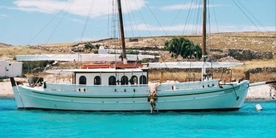 Boat Trips & Charters