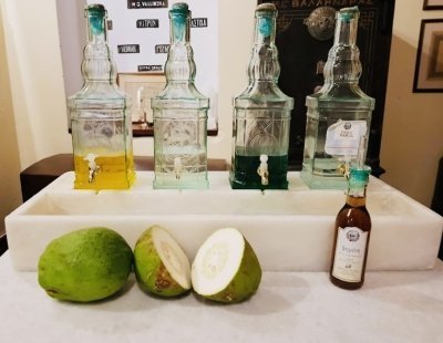 Four Hour Private Highlight Tour