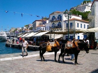 Ride horse on the beach and forest from katakolo port.
