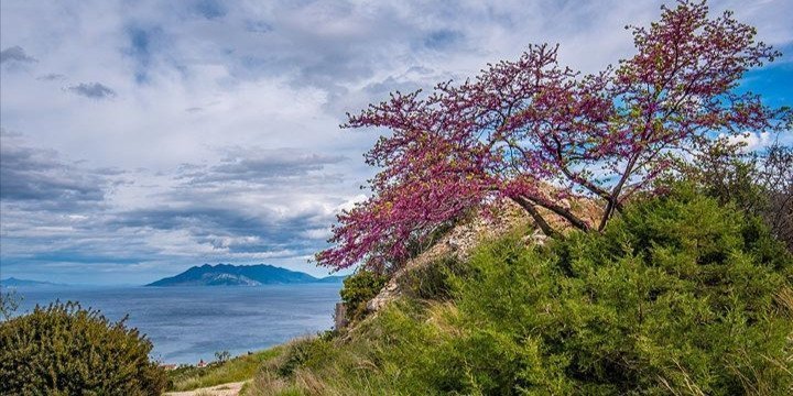 Treasures of the Saronic Gulf: Athens's house volcano - Methana