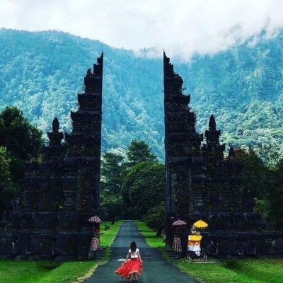 Bali Private Tour - Temples and Rice terraces Bali Private Tour - Temples and Rice terraces