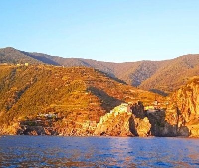 Shared Dolphin Watching Tour