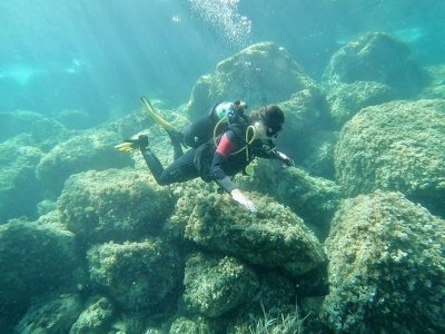 Discovery scuba diving