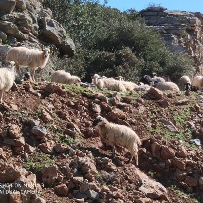 Cave of Zeus - LAsithi Plateau