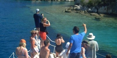 Boat Trips & Charters