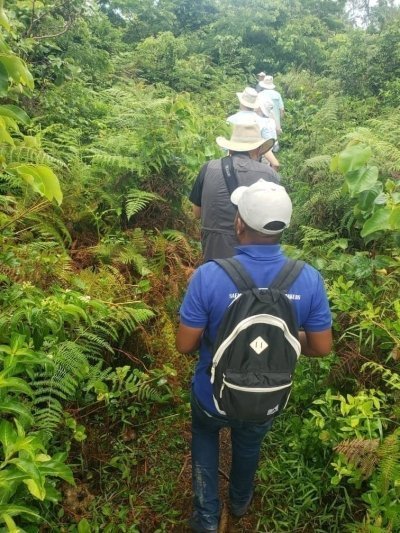 Stone Town, Spice Farm and Jozani forest Day Tour 8 hours