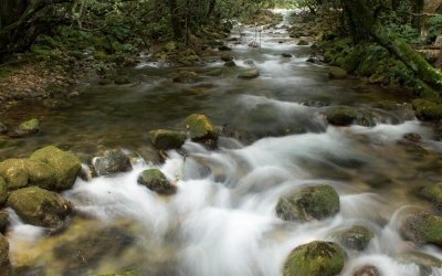 Konavle Gastro Tour from Dubrovnik