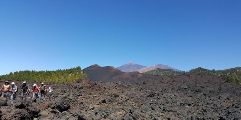Tenerife Royal Path - Hiking Tour with Boat Trip
