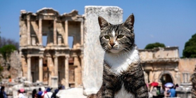 Classical Private Ephesus Tour