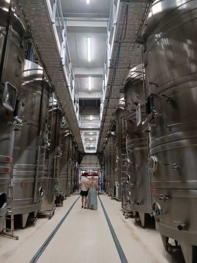 Chateauneuf du Pape wine tasting & Highlights of Avignon