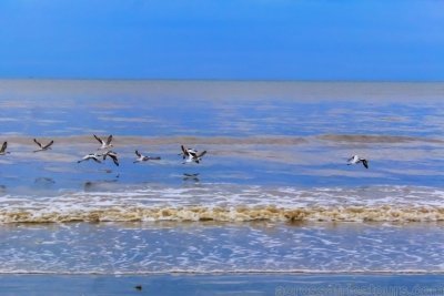 A Day Trip to Bagamoyo (Full Day)