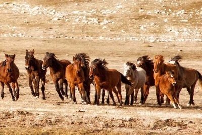Altınbeşik Cave & Ormana Village