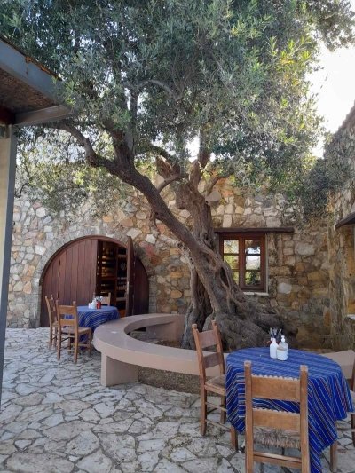 CHQ10 Chania Off-Road Vineyard & Winery Tour – Half-Day Adventure