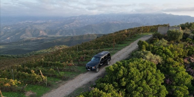 CHQ10.Chania Shore Excursion Off Road Vineyard & Winery Tour Half Day