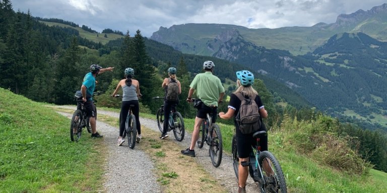 Guided scenic E-bike tour in Grindelwald
