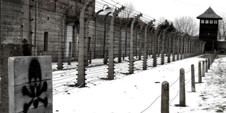 Krakow: Auschwitz-Birkenau Private Chauffeur Service