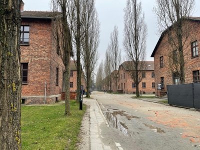 Krakow: Auschwitz-Birkenau Private Chauffeur Service