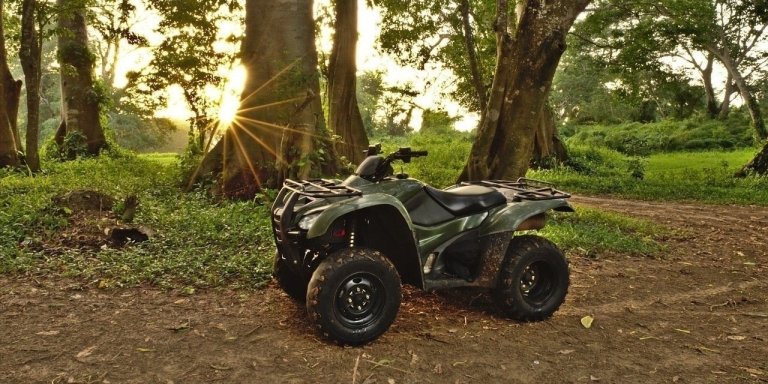 Have fun in an off-road adventure using our ATVs and Buggys