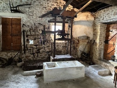 ZTH01. Zakynthos Premium 4x4 Island Experience