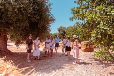Monopoli: Parco Rurale Guided Tour with Tasting of 3 EVO oils