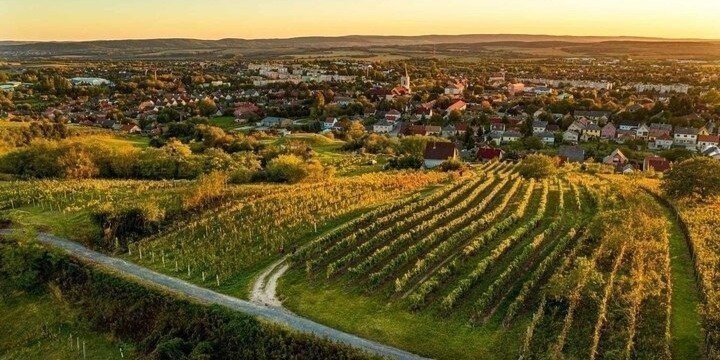 Wine and history - private daytrip to Eger from Budapest