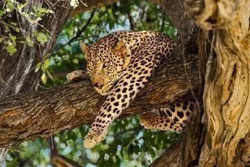 Tanzania Adventure Safari & Zanzibar Island Tour Package - 10 Days Tanzania Adventure Safari & Zanzibar Island Tour Package - 10 Days