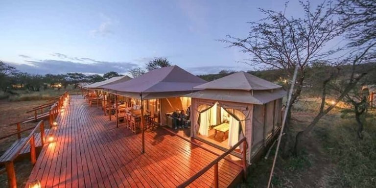 Tanzania Honeymoon Safari - 8 Days Luxury Package