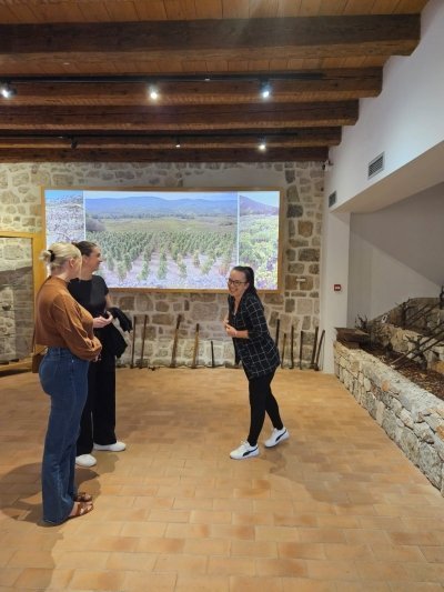 Wine Lover's Tour of Peljesac Peninsula