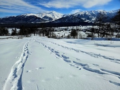 SNOWSHOEING in BAKURIANI // CAUCASUS