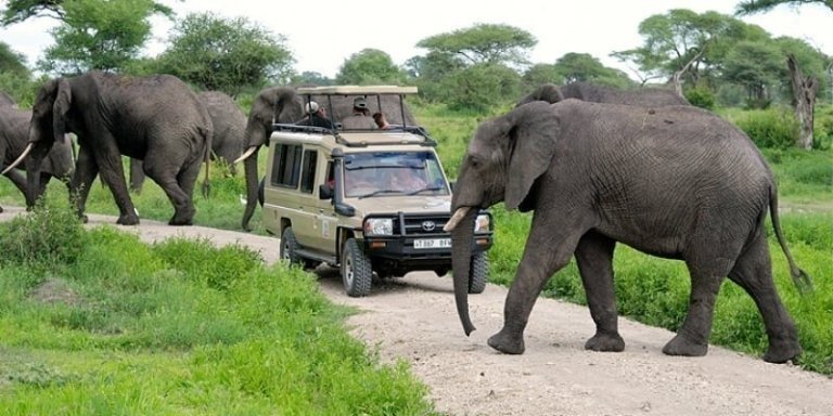 Tanzania Wildlife Safari - Exclusive Private Tour