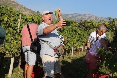 Konavle wine tasting tour from Dubrovnik with vinery's