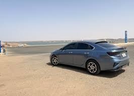 PICKUP TRANSFER FROM ABU SIMBEL TO ASWAN BY PRIVATE CAR
