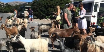 Water Activities & Sports