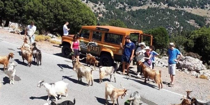 4X4 LAND ROVER SAFARI: ROADS OF  WINE OIL AND CRETAN TRADITION