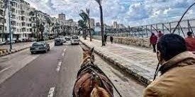 ALEXANDRIA BY NIGHT PRIVATE TOUR BY HORSE CARRIAGE RIDE AND FREE WALKI