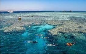 SNORKELING TRIP IN TIRAN ISLAND BY BOAT IN SHARM EL SHEIKH